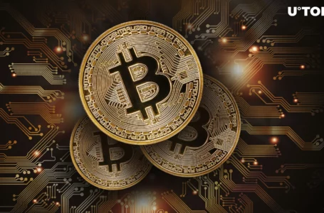 Gold out, Bitcoin in: Investor Predicts Shift in Hedging Strategy
