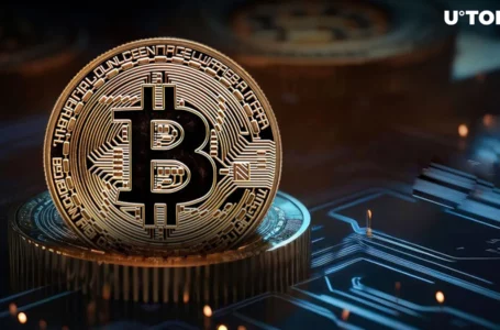 Bitcoin Logo Turns 14: Look Back at Satoshi’s Creation and Changes