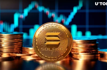 Solana Fees Up by 2,800% in Six Months, Data Says