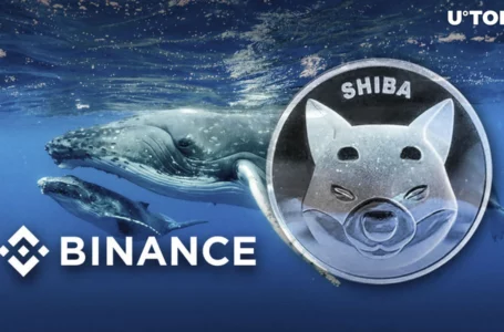 421.6 Billion SHIB Sold by Mysterious Whale as Price Close to Burning Zero