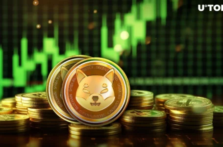 Enormous 1.7 Trillion Shiba Inu (SHIB) in 24 Hours: What’s Up?