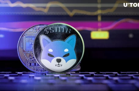 Shiba Inu (SHIB) Enters New Era, Community Excited