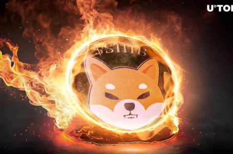 Shiba Inu (SHIB) Sees 150% Burn Rate Surge Amid Price Uncertainty