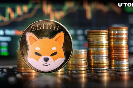19.8 Billion SHIB Moved to Major Exchanges as Price Makes Unexpected Move