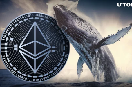 Another Dormant Ethereum Whale With Pre-Mined ETH Suddenly Wakes Up