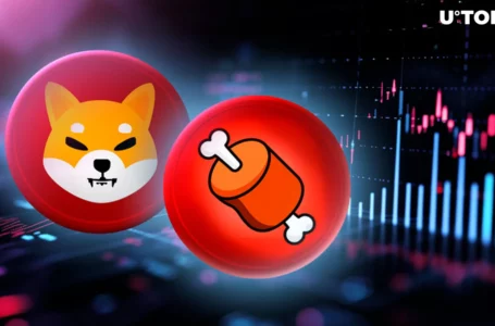 Shiba Inu: Major Crypto Exchange Expands Support for BONE