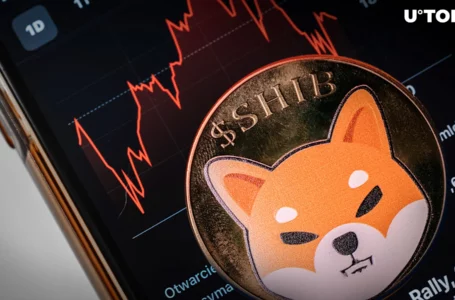 66% of Shiba Inu (SHIB) Holders in Losses as Price Fails to Get Momentum