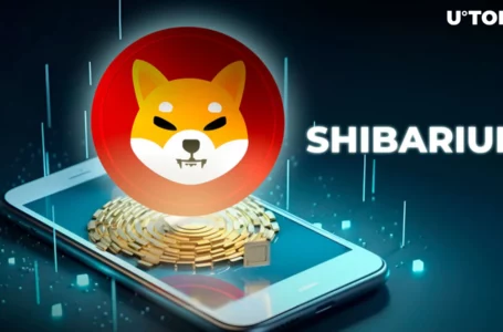 Shiba Inu’s Shibarium Skyrockets 254% in New Accounts Activity