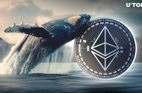 Massive Ethereum Whale Shifts 15,000 ETH in Staking Move