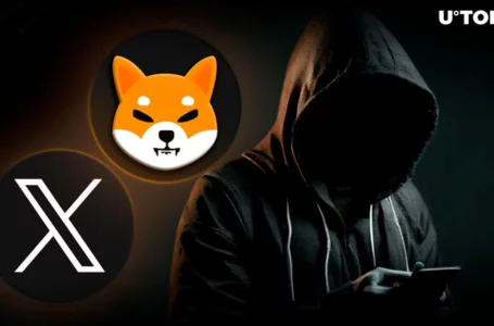 Shiba Inu (SHIB) Lead Sparks Speculation With Cryptic New Tweet: Details
