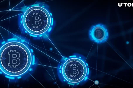 Less Than 10,000 Blocks Until Bitcoin Halving: Will BTC Break $50,000?