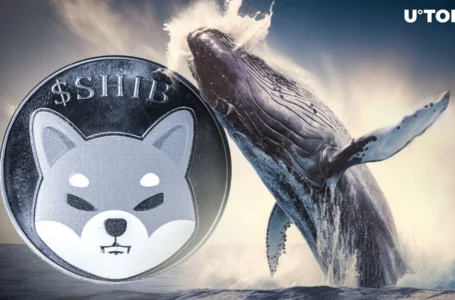 Shiba Inu Surges 1,708% as Whales Make Intriguing Moves
