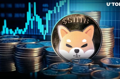 Enormous 3.2 Trillion Shiba Inu (SHIB) in Only 24 Hours Spotted