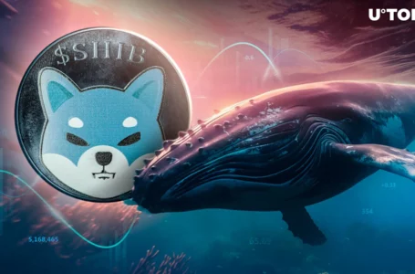 Trillions of SHIB Shifted in Epic 100% Shiba Inu Whale Activity Spike