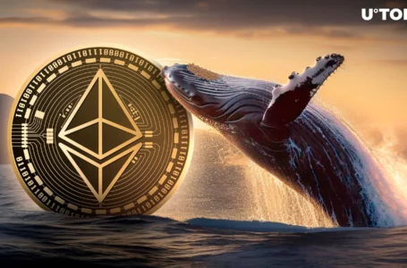 Ethereum Whale Buys $166 Million Worth of ETH in Just Three Days