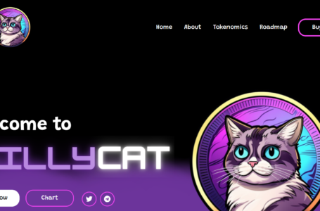 Sillycat Review: All To Know About