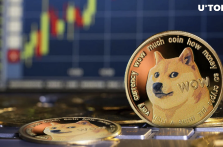 Bloomberg Expert Decodes Meme Coin