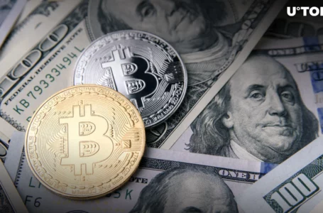 Bitcoin Might Not Kill Dollar, but This Will: Top Economist