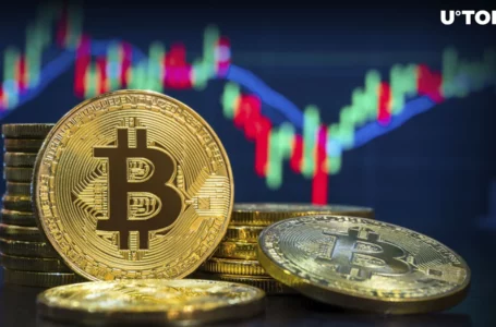 $34 Billion Worth of Bitcoin (BTC) Changes Hands in Epic Price Rally