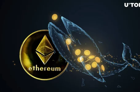 Ethereum (ETH) Whale Nets Over $100 Million in Profits Amid Price Rally