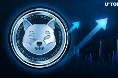 Shiba Inu Skyrockets 422% as Whale Transactions Hit Yearly Highs