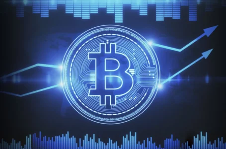 2024 Will Be a Pivotal Year for Bitcoin’s Financial Dominance