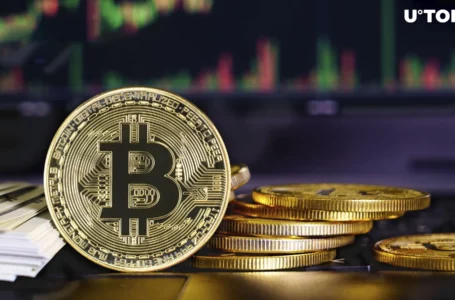 Bitcoin (BTC) Price Shows Resilience With Strong Accumulation Indicators
