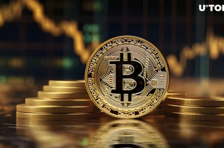 Bitcoin (BTC) 25% Drop in Cards, Historical Data Shows