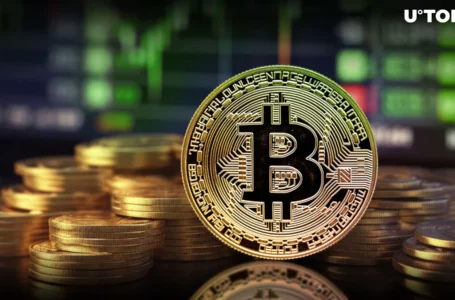 Bitcoin (BTC) Local High: 97% of Addresses in Profit