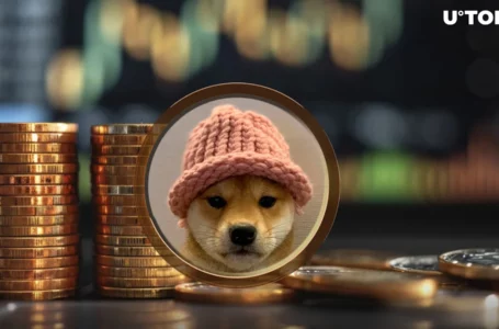 $1,300,000,000: Solana Meme Coin Dogwifhat (WIF) Reached Major Milestone