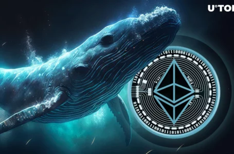 Gigantic ETH Whale Awakens From Dormancy, Shifts 10,000 ETH in One Fell Swoop