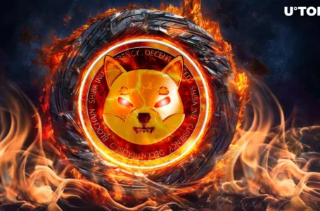 Shiba Inu (SHIB) Torches Monstrous 298 Million Tokens, Price Fails to Soar