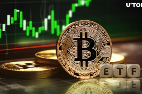 Bitcoin ETFs’ ‘Simply Absurd’ Performance Excites Analyst
