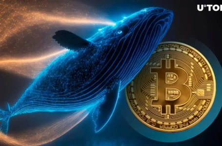 Intrigue as New Bitcoin Whale Is Born With 2,000 BTC Shift: Details