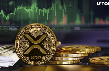 3 Reasons Why XRP Might Reach $0.7 in March