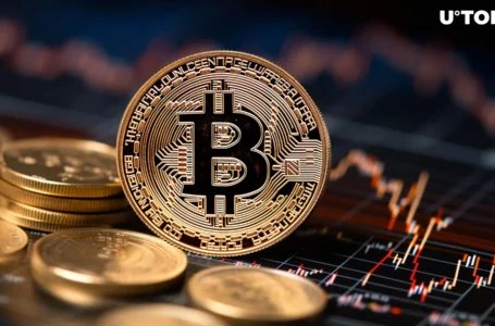 Bitcoin (BTC) Price Dip Not Major Problem, Here’s Why