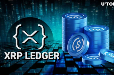 USDC to XRPL? XRP Expert Says Ripple Should Step In