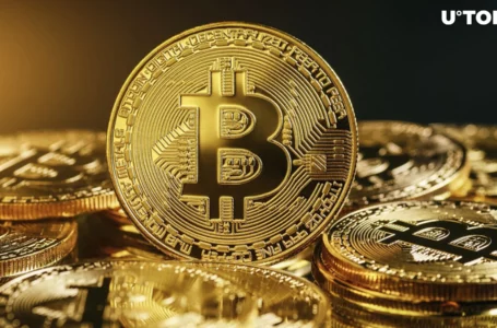 Bitcoin Exodus: Staggering $750 Million BTC Withdrawn From Crypto Exchanges