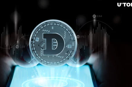 Dogecoin Founder Questions Sanity of Crypto Holders