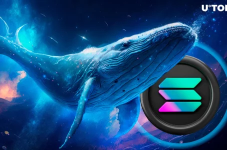 Solana’s $200 Milestone Meets $40 Million Whale Exodus