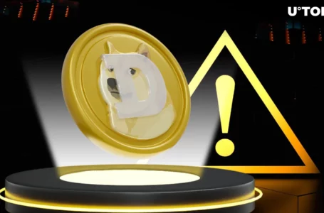 Dogecoin Founder Issues Major Statement on Crypto Bloodbath