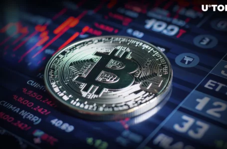 Bitcoin (BTC) Macro Index Surge Signals Double Pump, Says Top Analyst