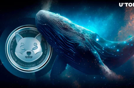 Shiba Inu (SHIB): Whale Activity Plummets as Price Dips