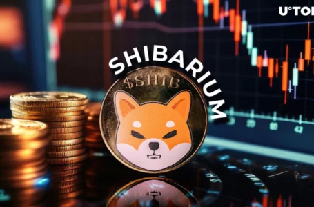 Shibarium Loses 98.4% of Transactions Amid SHIB Price Dump