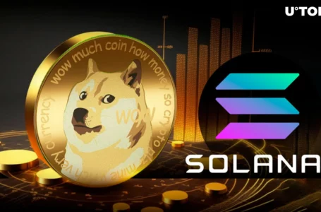 Dogecoin Founder Reveals ‘Secret’ of Meme Coin Making