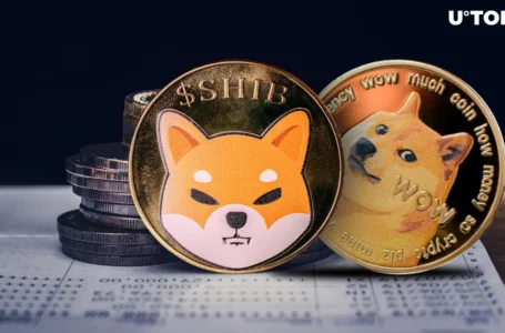 DOGE Days Are Numbered: Official SHIB X Handle States