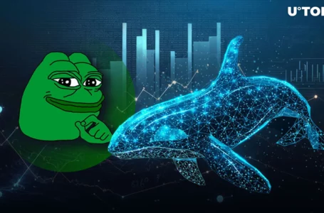 Pepe (PEPE) Whales Buy Over 560 Billion Coins – What’s Happening?