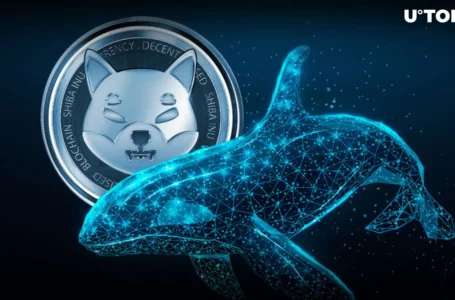 Shiba Inu (SHIB) Witnesses Epic Whale Activity Spike Amid Coinbase Outflows