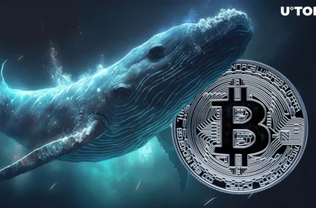 673 BTC Bought by Bitcoin Whale as BTC Price Eyes Rebound