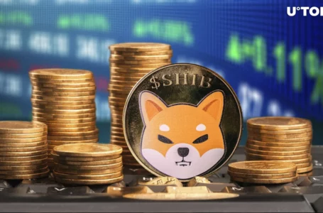 Massive 2 Trillion Shiba Inu (SHIB) in Last 24 Hours: Exchanges, Whales and More